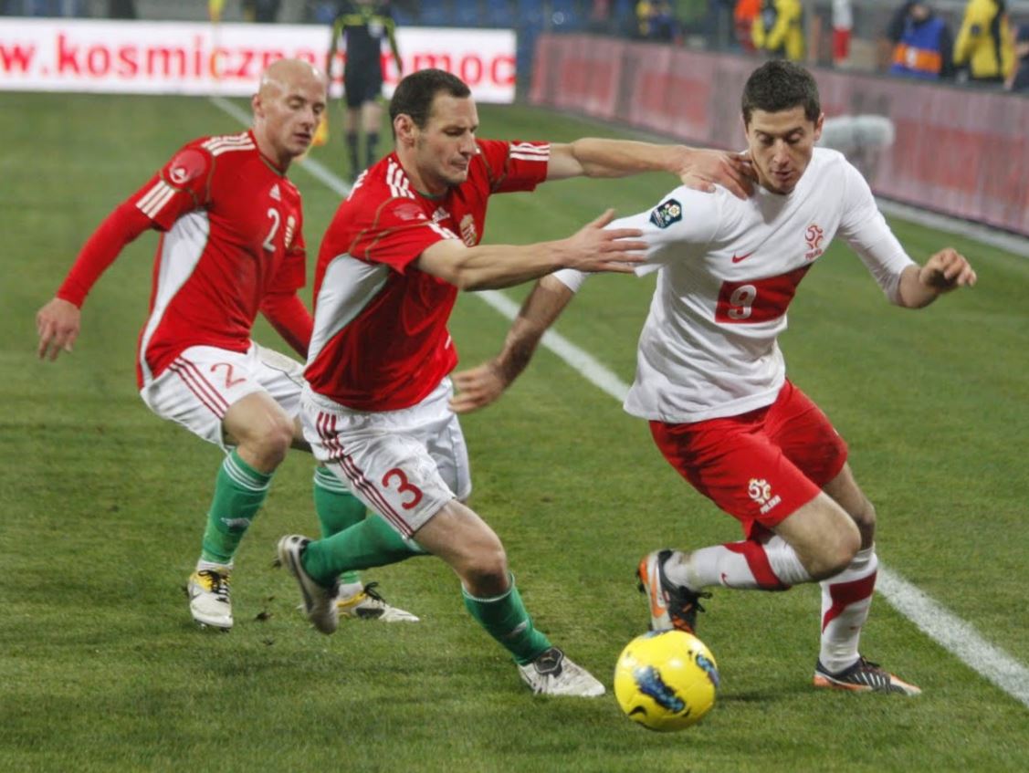 폴란드 도우스키